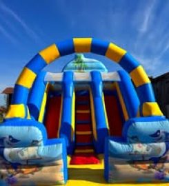 Napuhanci s Madagaskara