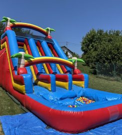 Napuhanci s Madagaskara