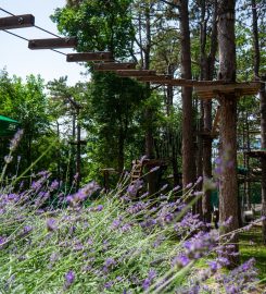 Adrenalin Park Crikvenica